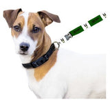 Brindle Maxx  Dog Leash