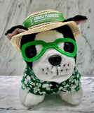 Plush CP Hawaiian Maxx Dog